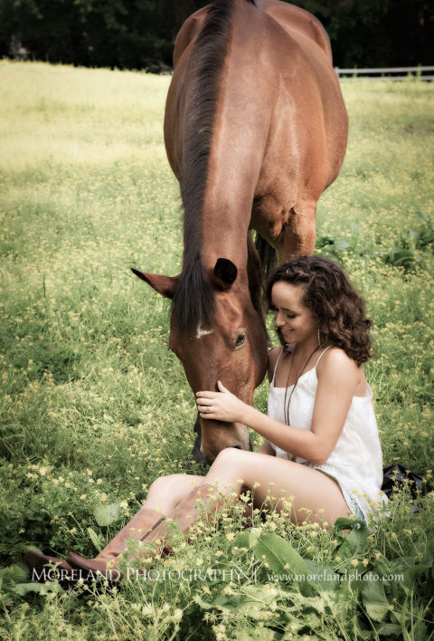 Horse photography, Animal Photography